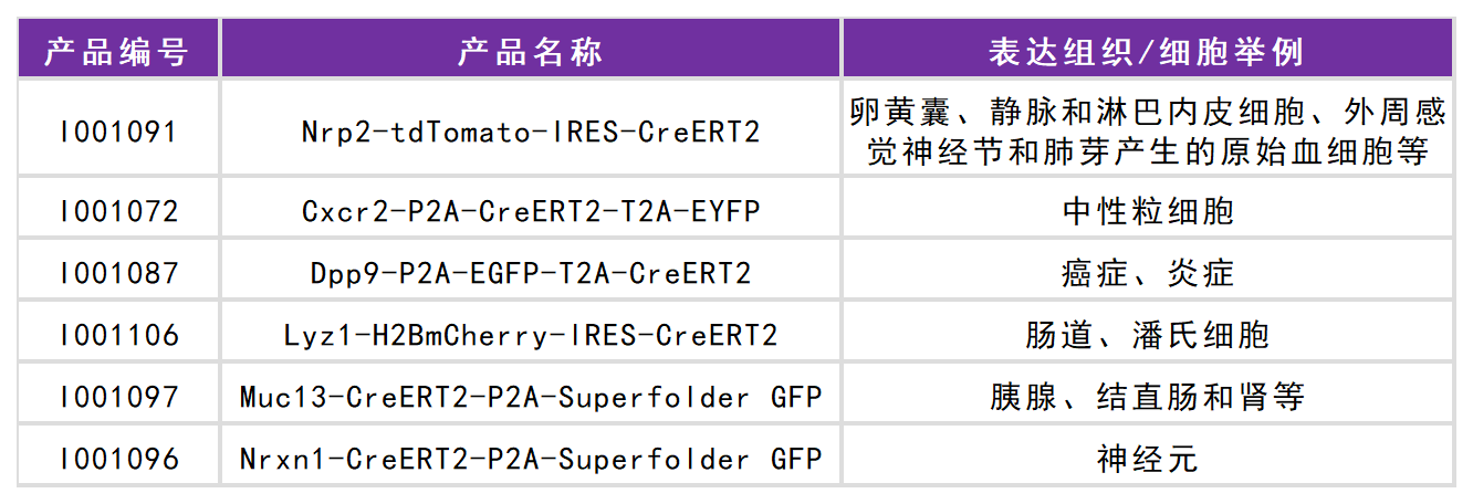 賽業(yè)生物工具鼠列表